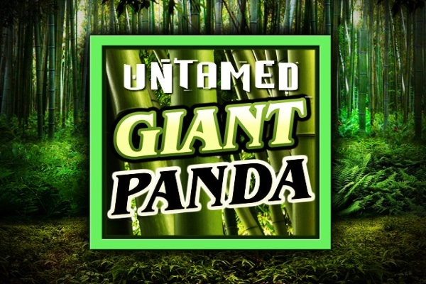 07961 untamed giant panda