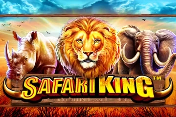 18378 safari king